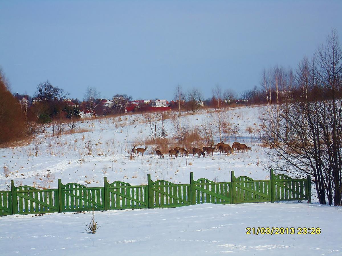 Mazurska Chata Jezioro I Aquapark 6 Min, Centrum I Promenada 12 Min Mikołajki Esterno foto